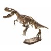 Kotrókészlet 3D T-Rex csontváz