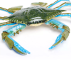 236226 4 modry krab