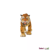 236418 4 tygr bengalsky