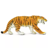 236418 2 tygr bengalsky