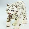 236445 5 bily bengalsky tygr
