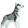 237786 4 sibirsky husky