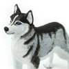 237786 5 sibirsky husky