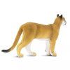 238068 2 puma floridska