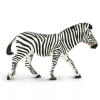 238110 zebra