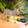 238110 1 zebra