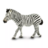 238110 2 zebra
