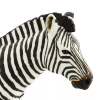 238110 4 zebra