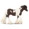 238128 3 irsky cob