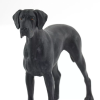 238536 3 nemecka doga