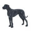238536 nemecka doga