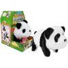 Panda (4)