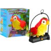 mluvící papoušek (1)