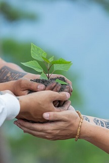 hands-trees-growing-seedlings_1150-43313m