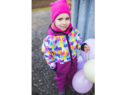 fuchsie, barevné kočky 1