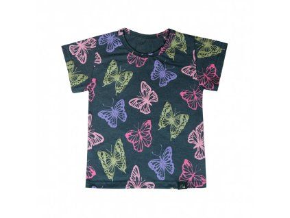 butterfly 1
