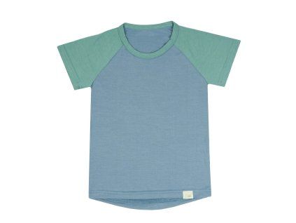 blue jase 1
