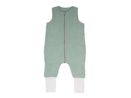 olive 1