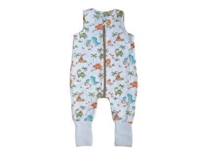 dino baby 1