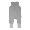 dove grey 1