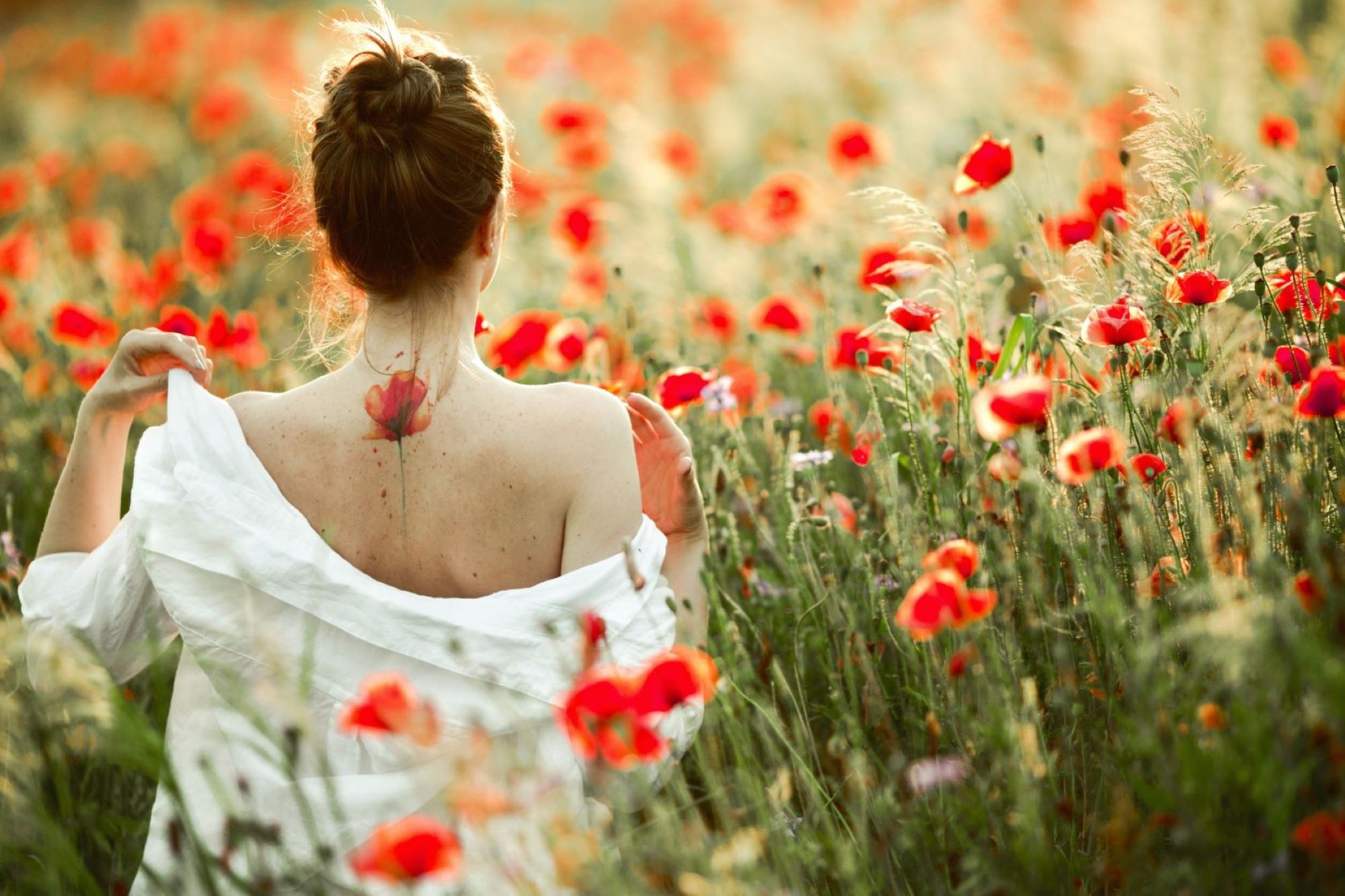 Květomluva a VLČÍ MÁK: Symbolika, historie, duchovní význam a léčivé vlastnosti