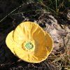 Keramická mistička - Islandský mák žlutý