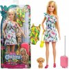 5fe5ad45c0df812f473ba3535274623a 11161 3 barbie chelsea the lost birthday mattel