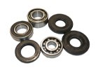 Bearing, Gasket