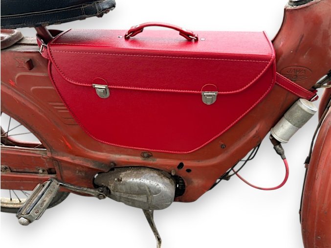 brasnaJawettaCerv1 (1)