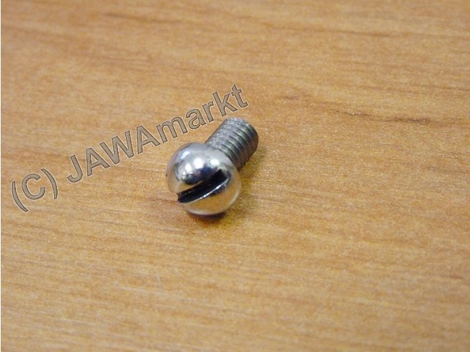 Screw for Oil control in Engine - polished sainlees steel