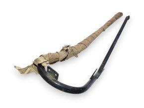 posedlvzperamustang (1)