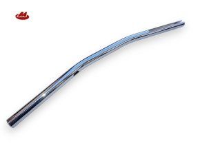 riditkarovnaPioM1 (2)