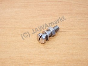 Screw for Handlebar lever - polished stainless steel