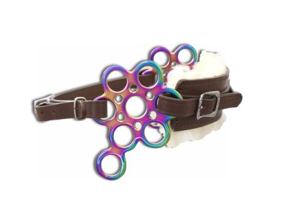 hackamore flower rainbow braun