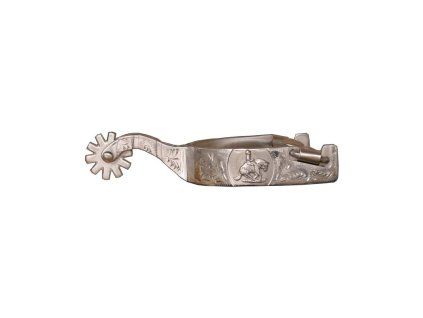 sporen silber reiner