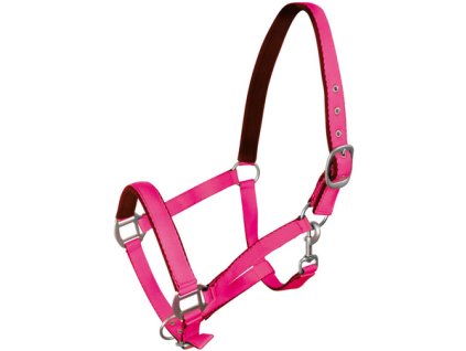 ger pm Halfter York Fluo 380 1