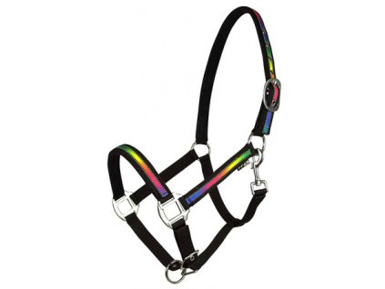 ger pm Halfter York Rainbow Reflect 4317 1