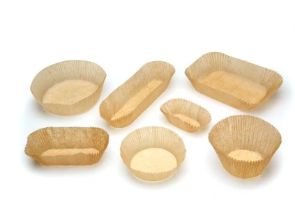 Návrh bez názvu (1)