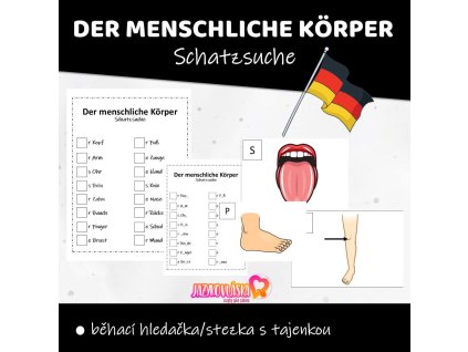 der menschliche korper schatzsuche