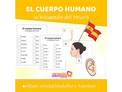 el cuerpo humano hledacka do vyuky spanestiny