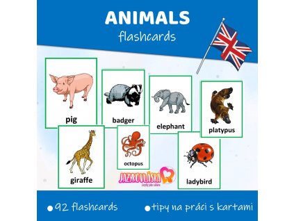 animals flashcards pdf anglictina