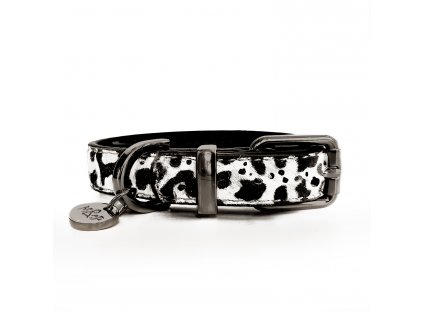 Dalmatien Collar 1