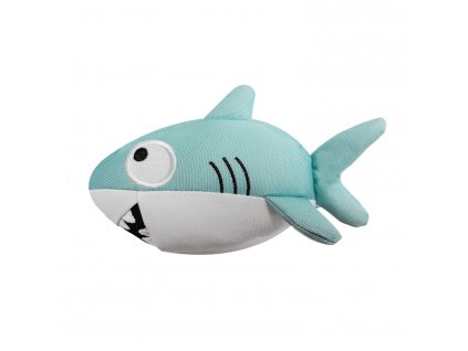 IT0053 REQUIN A