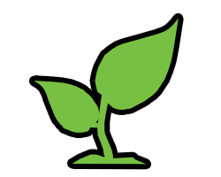 ecoo