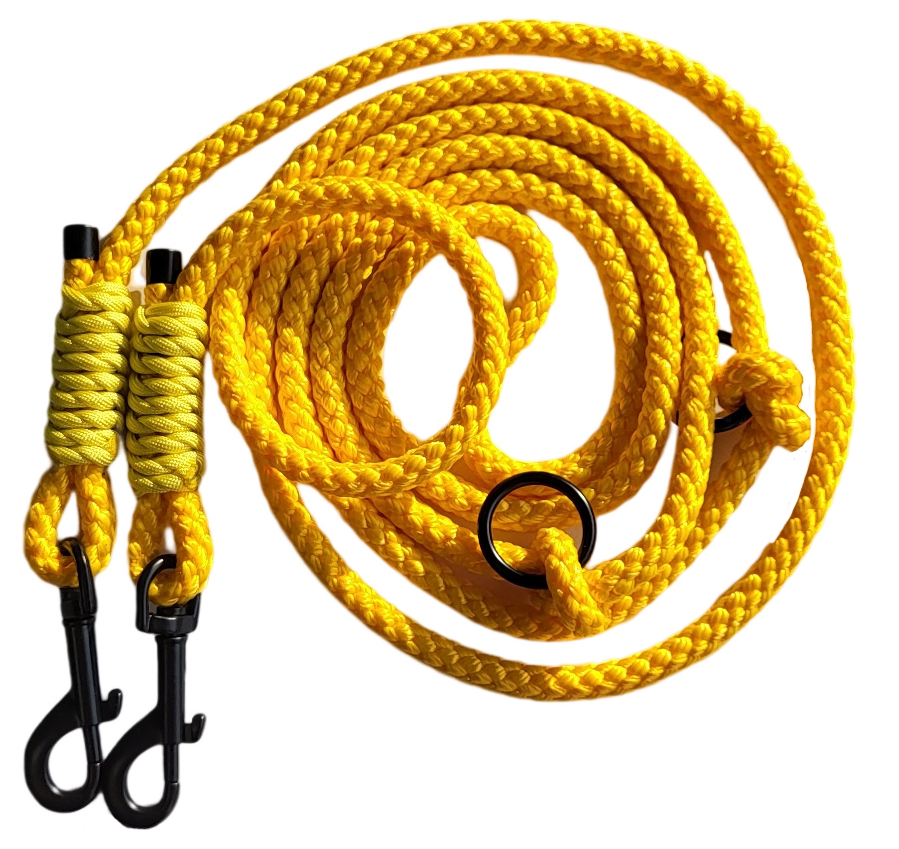 Vodítka a obojky na JDEME VENČIT.cz a jak si vybrat