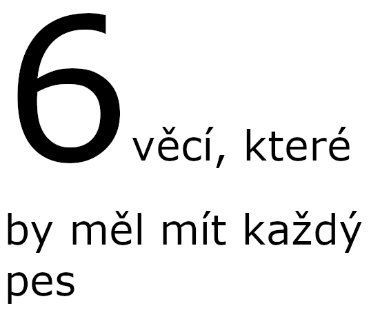 Základních šest věcí výbavy pro nového psa