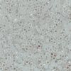 Miyuki Delica 11/0 Opal White DB0220