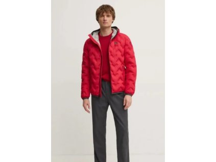 WhatsApp Image 2024 11 21 at 12.01.21 (3)