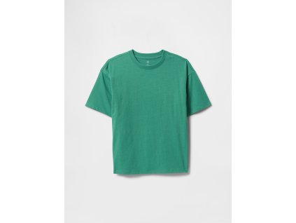 36976 gap chlapecke detske bavlnene tricko 831299 34 velikost xxl