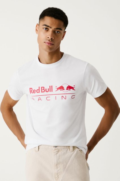 Pánské tričko LOGO TEE (Barva bílá, Velikost L)